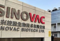 科兴中维最新爆料,揭秘疫苗研发背后的故事与挑战”